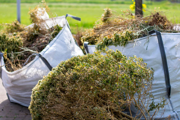 Best Household Junk Removal  in El Cerrito, CA