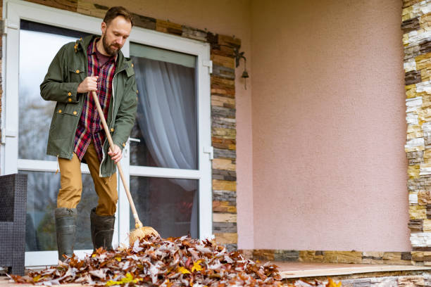 Yard Cleanup Services in El Cerrito, CA